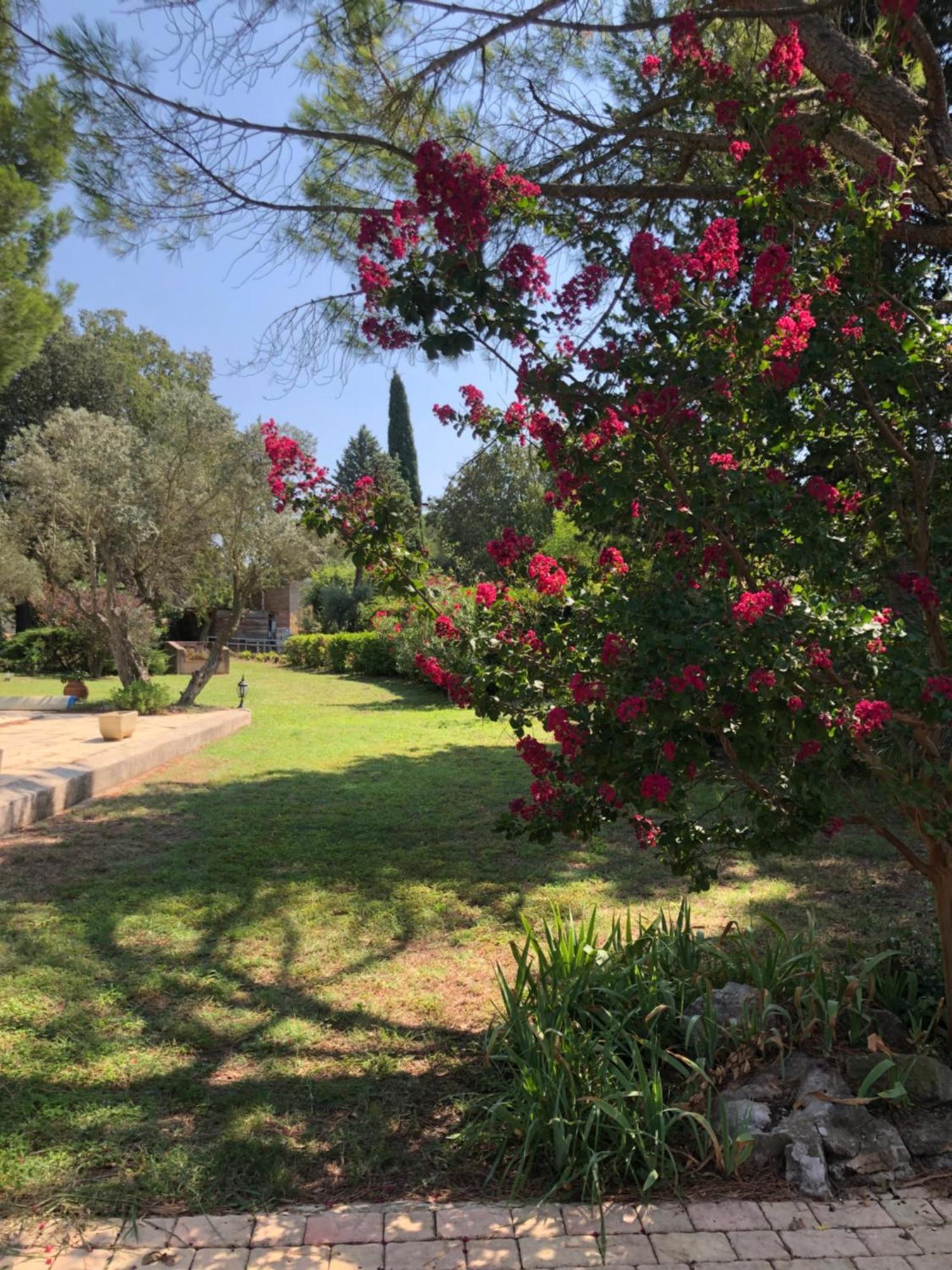 Gite En Provence Dans Grand Jardin Avec Piscine Partagee Cornillon-Confoux Exterior foto
